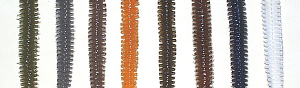 ring_&_tube_color_image